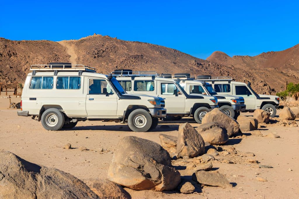 Safari 4x4 en el Oasis de Siwa