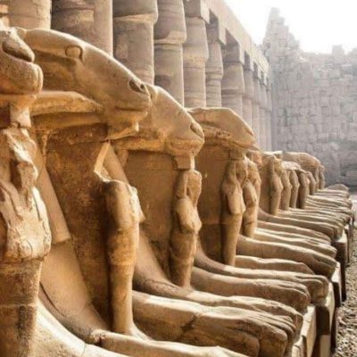 WhatsApp Image 2025-12-01 at 12.02.41 PM (3)